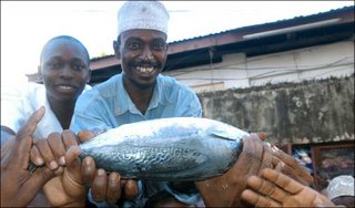 At�n con verso cor�nico